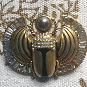 Beetle pin